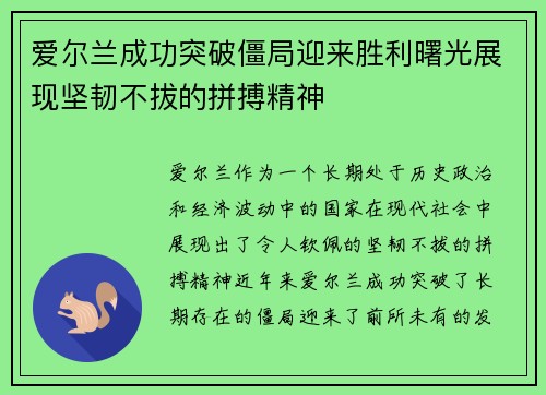 爱尔兰成功突破僵局迎来胜利曙光展现坚韧不拔的拼搏精神